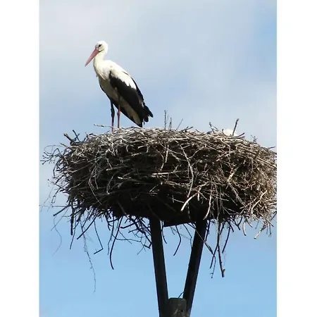 Holiday home Romantica