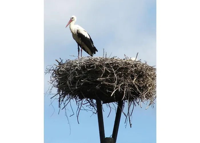 Semesterbostad Romantica