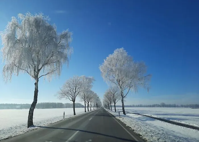 Semesterbostad Romantica *